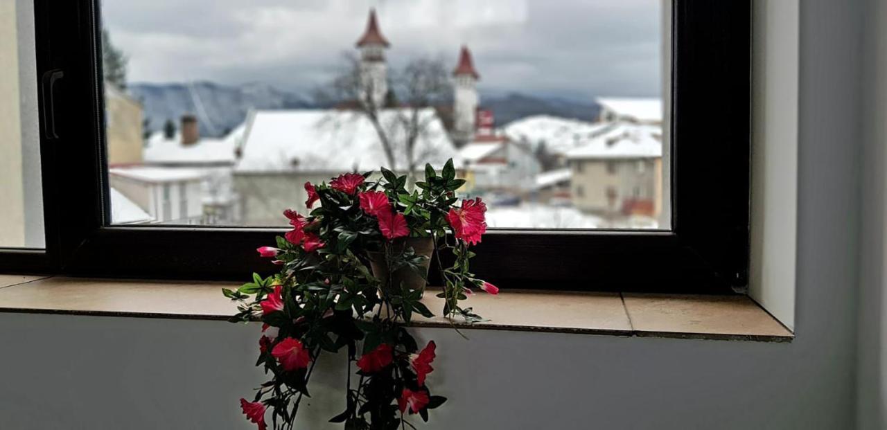 Vila William'S Brasov Bagian luar foto